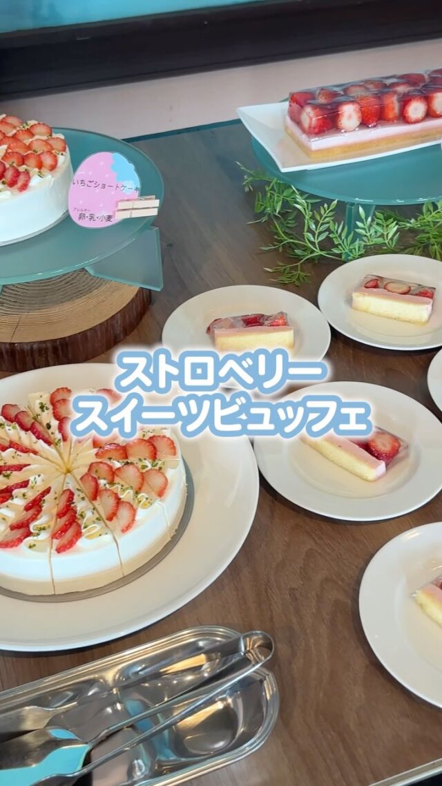 ▼詳細はこちら▼
⁡
⁡
🍓ストロベリースイーツビュッフェ開催中🍓
⁡
パティシエのこだわりがつまった特製スイーツを存分にお楽しみください🍰
⁡
⁡
【日時】
3月15日(土)、16日(日)、30日(日)。
⁡
⁡
【時間】
15:00〜17:00(l.o 16:30)。
15:00開始と15:30開始の90分制。
⁡
※ランチは11:00〜14:00、通常通り営業いたします。
⁡
⁡
【価格】
大人 3500円
小人 2450円
幼児 1750円
⁡
⁡
【内容】
・スイーツメニュー各種
・フライドポテト
・サラダ
・ブルスケッタ
・ソフトドリンクフリードリンク
⁡
⁡
【スィーツメニュー】
・苺のムース
・パンナコッタ苺ソース
・苺のショートケーキ
・チョコ生苺ショートケーキ
・苺のタルト
・苺のパリブレスト
・苺のミルクプリン
・苺のホワイトロールケーキ
・苺のテリーヌ
・苺のガトーショコラ
・苺クレープ
・苺コーン
・木苺のギモーブ
・苺のティグレ
・マカロン3種(木苺・静岡抹茶・浜松レモン)
・苺とレモンジュレ入りシャンパン
・4種の苺狩り(紅ほっぺ、章姫、きらぴ香、かおり野)
⁡
※仕入れ状況により、一部メニューを変更する場合がございます。
⁡
⁡
【注意事項】
1日50名様限定。
ご予約の方優先です。
※30名様以上で貸切可。
⁡
⁡
【予約方法】
プロフィールのハイライト「スイーツビュッフェ」からご予約が可能です。
⁡
お電話(053-592-1155)からもご予約を承っております📞
※受付時間10:00~21:00
⁡
⁡
【お問合せ】
ご不明な点がございましたらお電話(053-592-1155)まで、お気軽にお問合せください。
※受付時間10:00~21:00
⁡
⁡
ーーーーーーーーーーーーーーーーーーーーーーーーー
プロフィールはこちら↓↓↓
@the_akatorii.the_ocean
⁡
⛩赤鳥居の絶景を楽しめるカジュアルイタリアン
🍽️浜名湖の旬を堪能できるハーフビュッフェ
🌴ホテル⇒@the_ocean.hotel
⁡
【アクセス】
〒431-1202
静岡県浜松市中央区呉松町1768-1
浜名湖弁天島リゾートホテル
THE OCEAN(@the.ocean.hotel )内
🚃弁天島駅から徒歩1分
🚗浜松西ICから車で20分
⁡
【営業時間】
11:00～14:00（火・水曜定休）
⁡
【お問い合わせ先】
公式HPのお問い合わせメール、または電話(053-592-1155)にお願いいたします。
⁡
ーーーーーーーーーーーーーーーーーーーーーーーーー
⁡
#ジオーシャン #弁天島 #浜名湖 #浜松スイーツ #浜名湖スイーツ